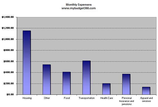 net-monthly-expenses