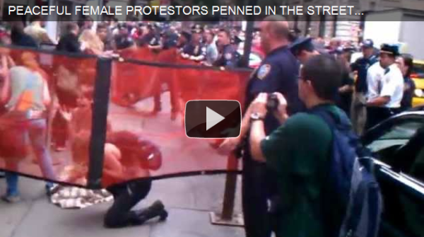 occupy wall street maced protestor